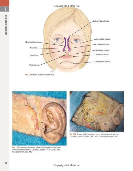 Andrews' Diseases of the Skin Clinical Atlas - Second Edition 11122 фото